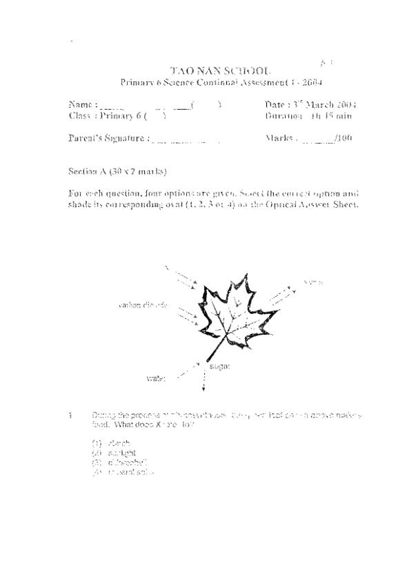Tao Nan P6 Sci WA1 2004 exam paper PDF preview