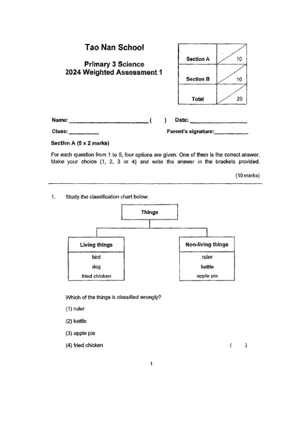 First page preview of P3 Sci 2024 WA1 — Tao Nan