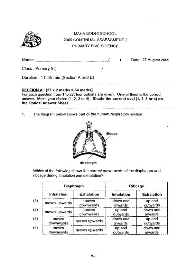 Maha Bodhi P5 Sci WA3 2009 exam paper PDF preview