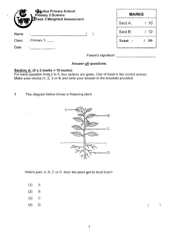 First page preview of P3 Sci 2024 WA3 — Nan Hua
