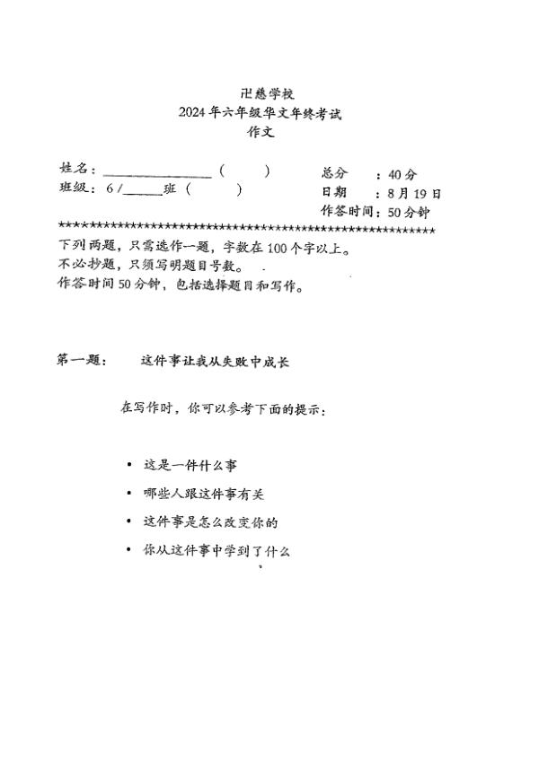 First page preview of P6 Chi 2024 SA2 — Red Swastika