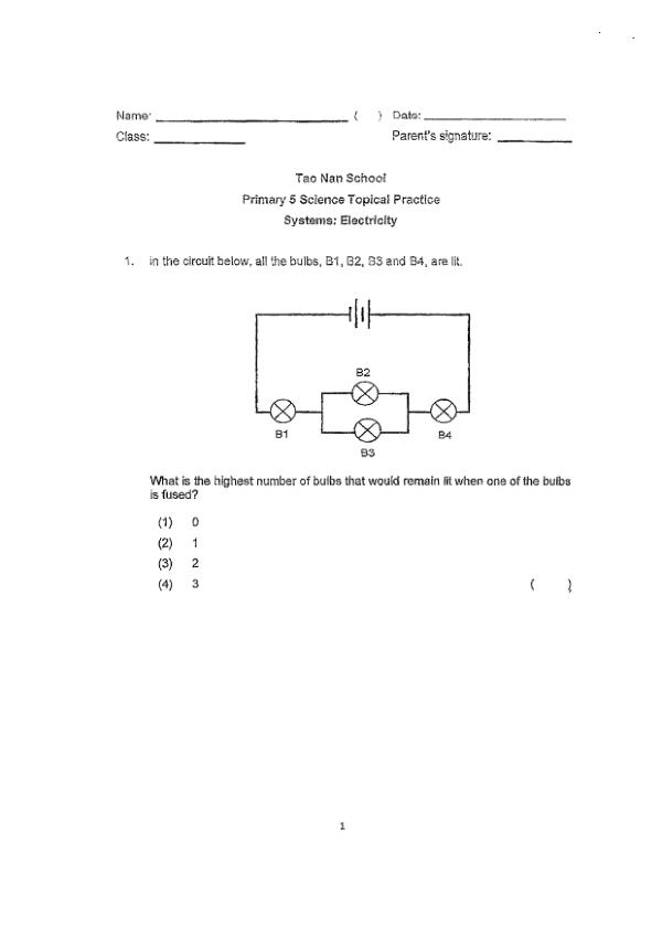 First page preview of P5 Sci 2025 WA3 — Tao Nan