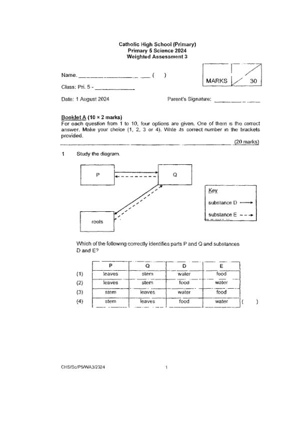 First page preview of P5 Sci 2024 WA3 — Catholic High