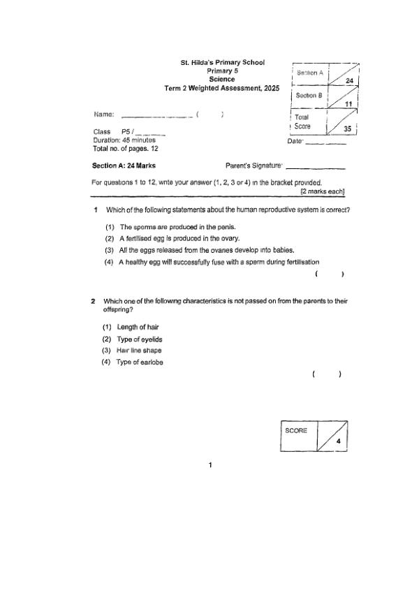 First page preview of P5 Sci 2025 WA2 — St Hildas