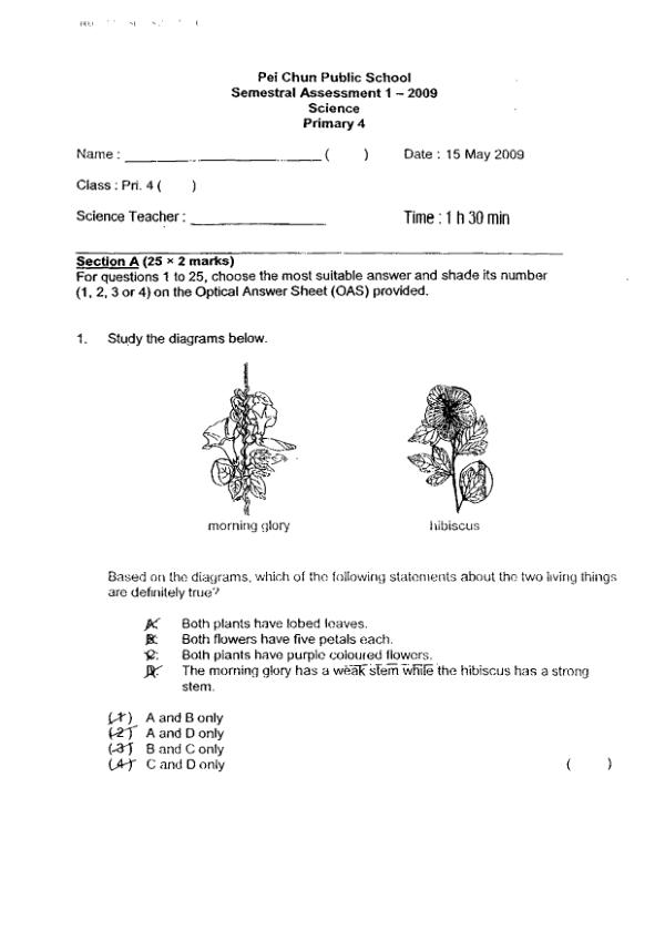 Pei Chun P4 Sci WA2 2009 exam paper PDF preview
