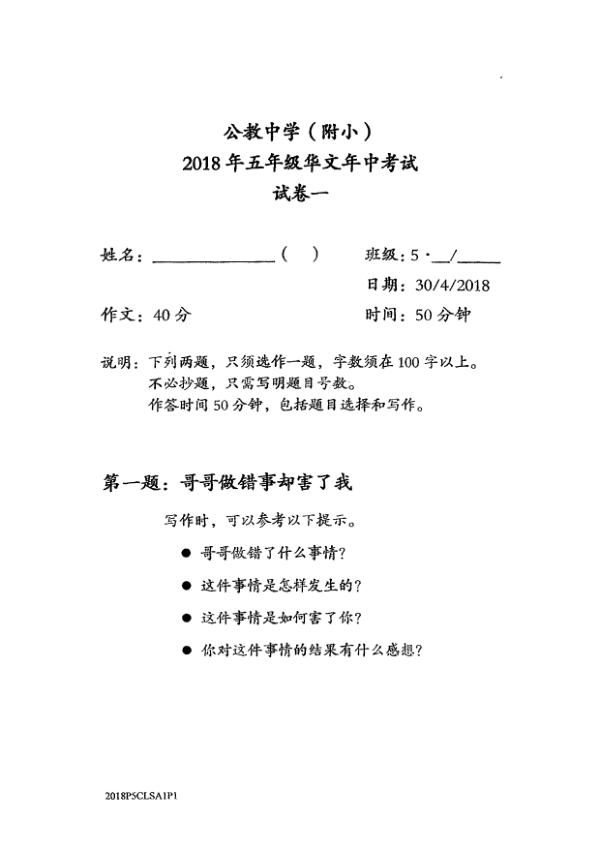 Catholic High P5 Chi WA2 2018 exam paper PDF first page preview