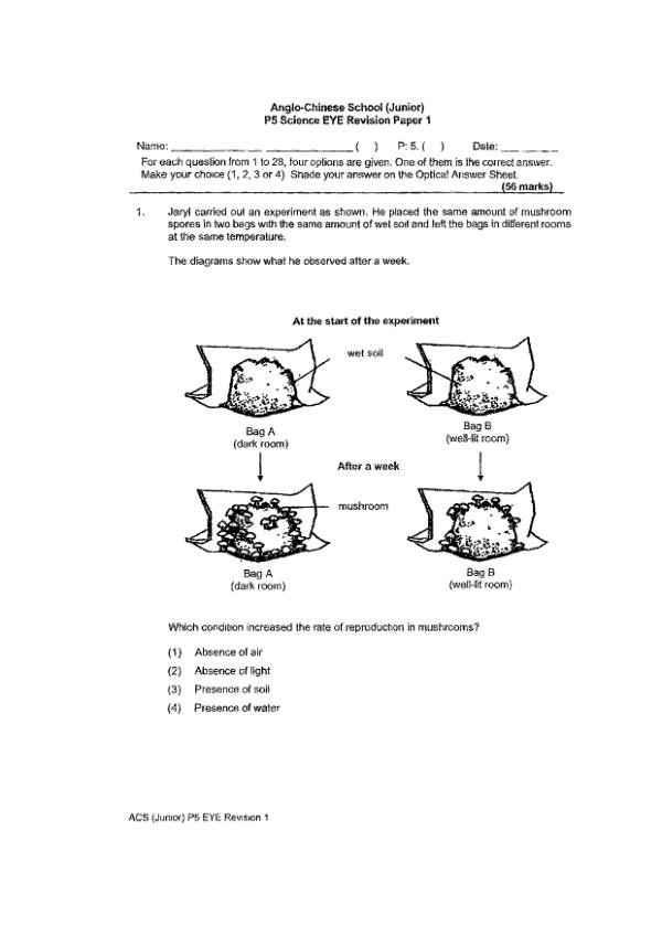 First page preview of P5 Sci 2024 WA1 — Anglo Chinese