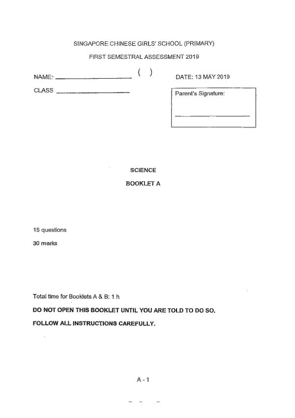 Singapore Chinese Girls P3 Sci WA2 2019 exam paper PDF first page preview