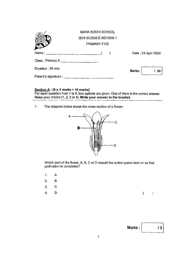 First page preview of P5 Sci 2024 WA1 — Maha Bodhi
