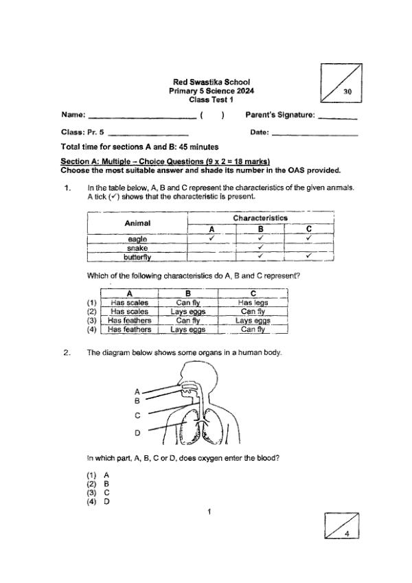 First page preview of P5 Sci 2024 WA1 — Red Swastika