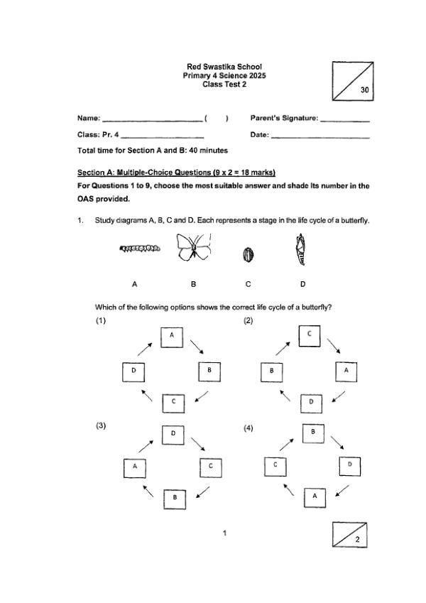 First page preview of P4 Sci 2025 WA2 — Red Swastika