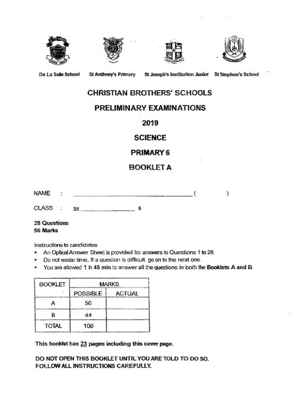 Christian Brothers P6 Sci SA2 2019 exam paper PDF first page preview
