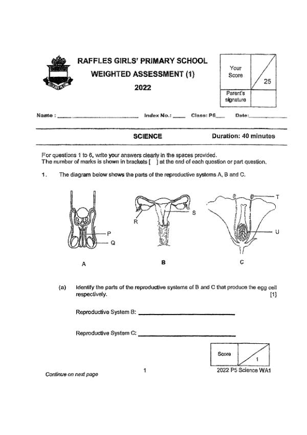 Raffles Girls P5 Sci WA1 2022 exam paper PDF first page preview
