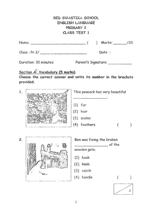 Red Swastika P2 Eng WA2 2019 exam paper PDF first page preview