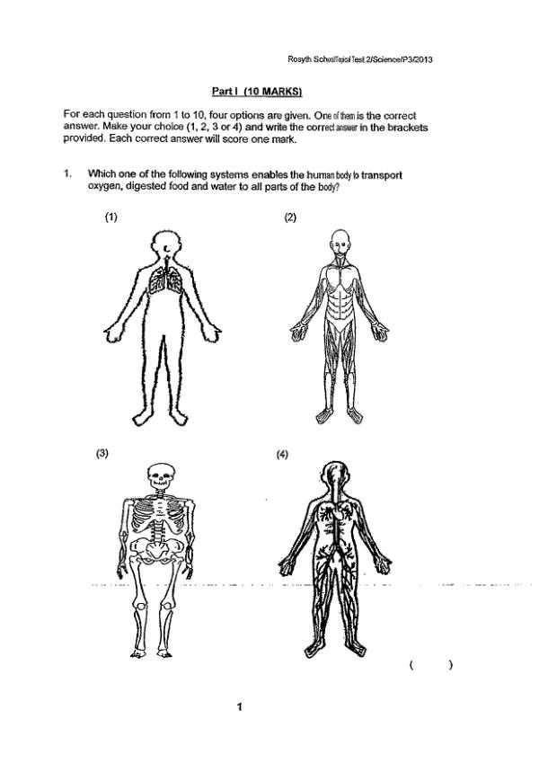 Rosyth P3 Sci WA3 2013 exam paper PDF preview