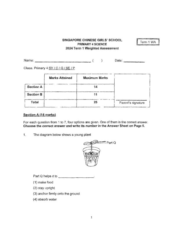 First page preview of P4 Sci 2024 WA1 — Singapore Chinese Girls