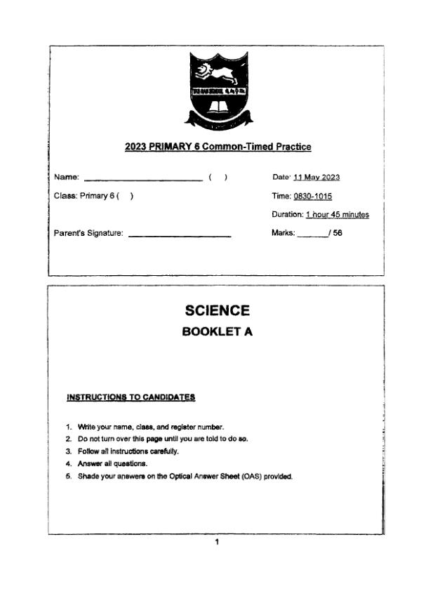 First page preview of P6 Sci 2023 WA2 — Tao Nan