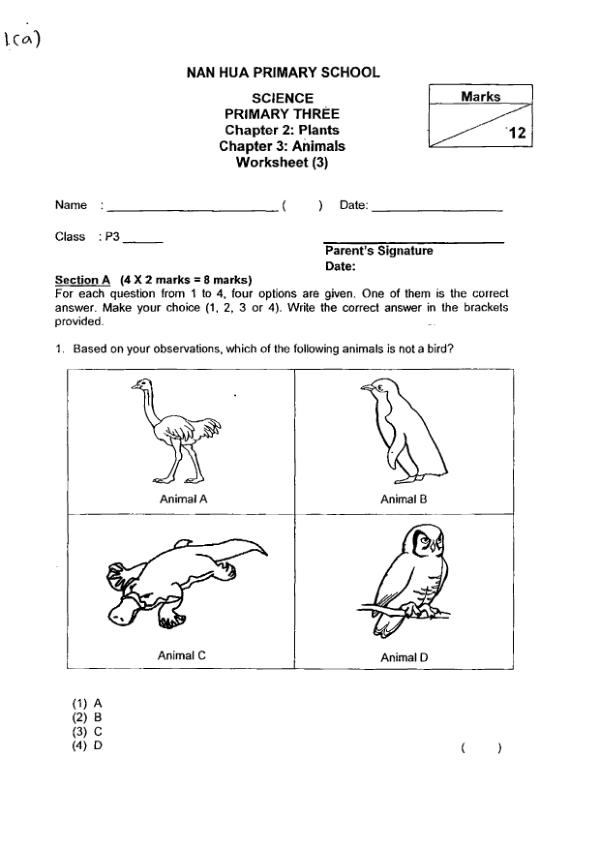 Nan Hua P3 Sci WA1 2016 exam paper PDF preview