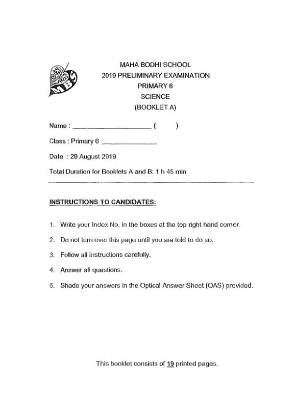 Maha Bodhi P6 Sci SA2 2019 exam paper PDF first page preview