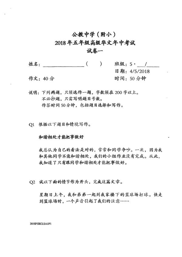 Catholic High P5 Chi WA2 2018 exam paper PDF first page preview