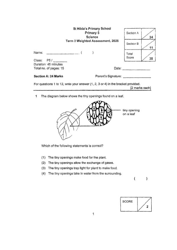 First page preview of P5 Sci 2025 WA3 — St Hildas