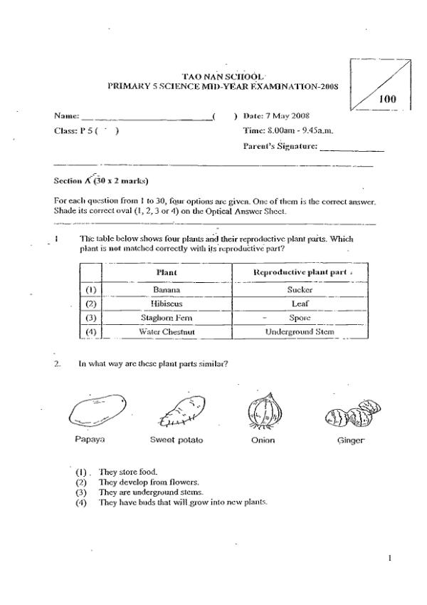 Tao Nan P5 Sci WA2 2008 exam paper PDF first page preview