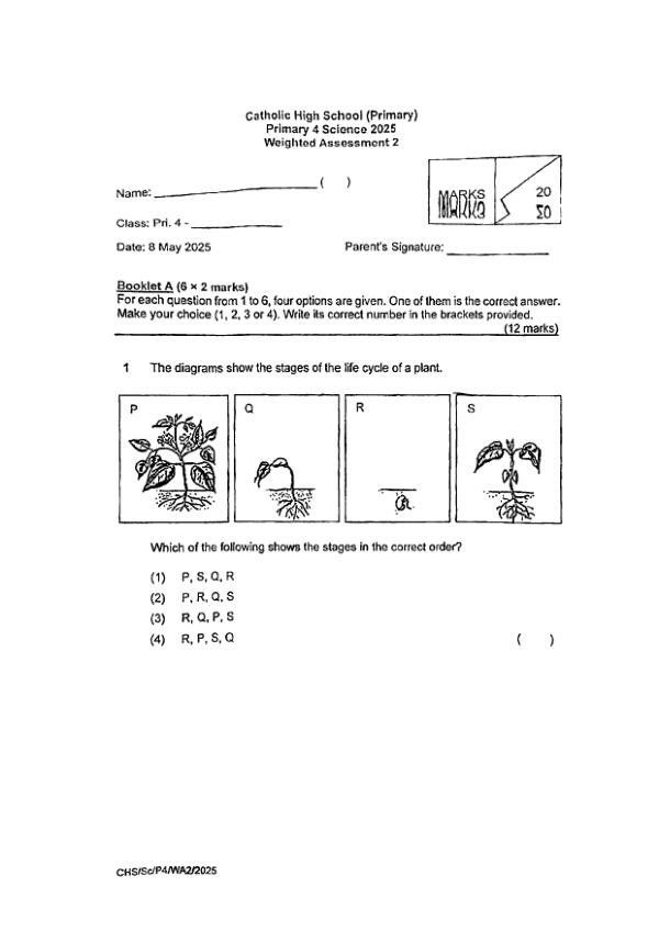 First page preview of P4 Sci 2025 WA2 — Catholic High