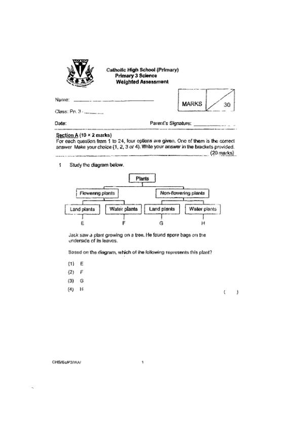 Catholic High P3 Sci WA1 2021 exam paper PDF first page preview
