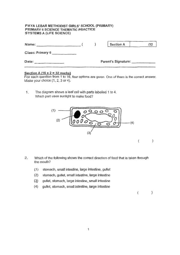 Methodist Girls P6 Sci WA1 2025 exam paper PDF first page preview