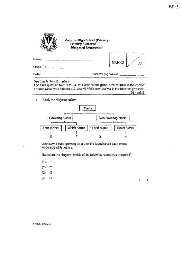 Catholic High P3 Sci WA1 2022 exam paper PDF preview