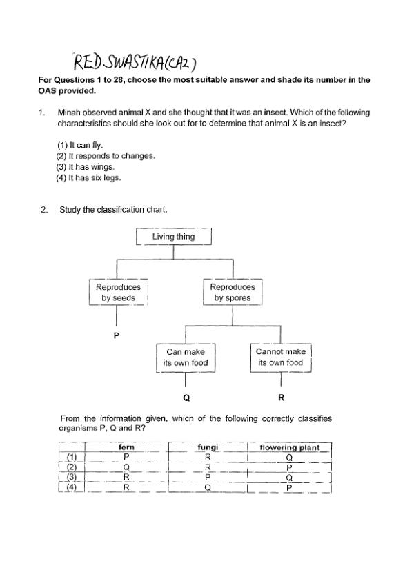 Red Swastika P5 Sci WA3 2018 exam paper PDF first page preview