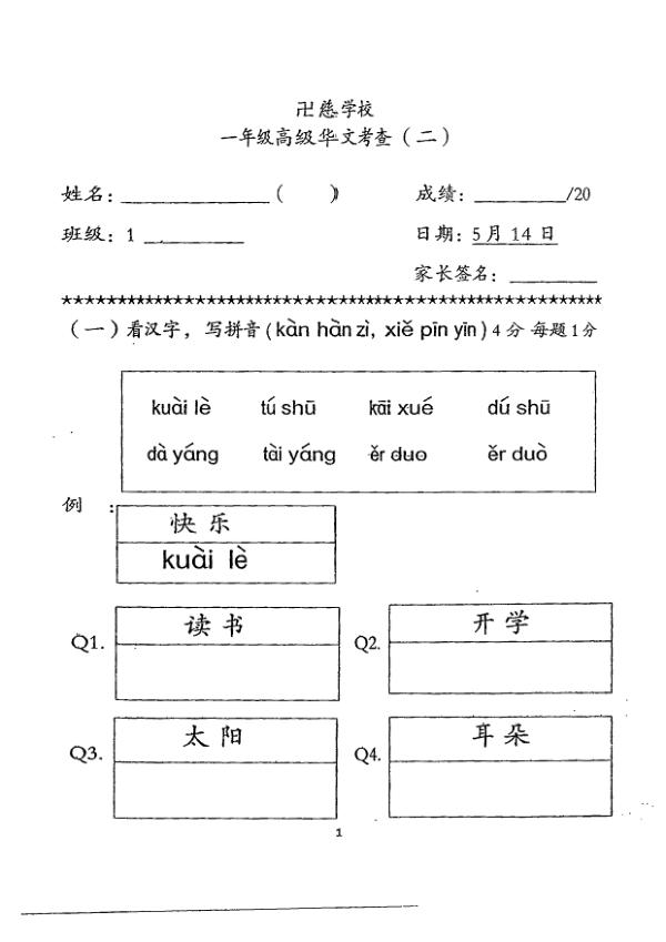 Red Swastika P1 Chi SA2 2013 exam paper PDF first page preview