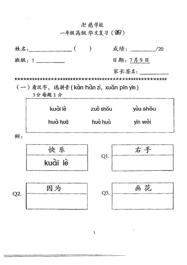 Red Swastika P1 Chi SA2 2013 exam paper PDF first page preview