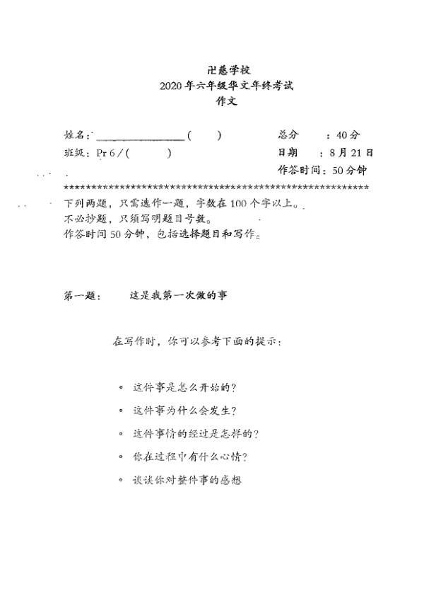 Red Swastika P6 Chi SA2 2020 exam paper PDF preview