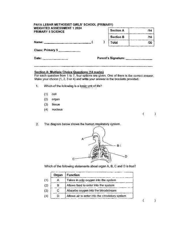 First page preview of P5 Sci 2024 WA1 — Methodist Girls