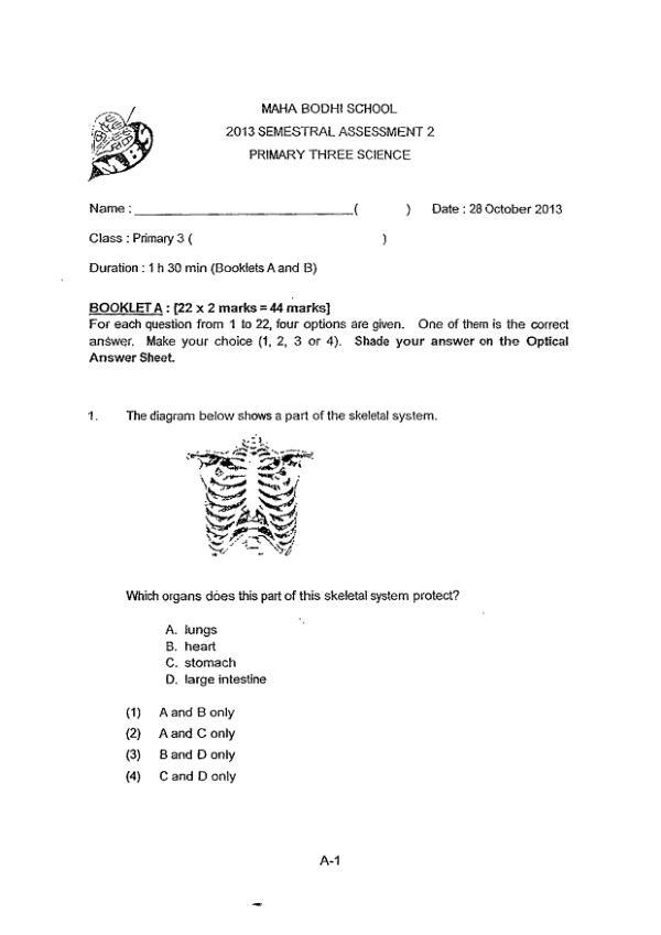 Maha Bodhi P3 Sci SA2 2013 exam paper PDF preview
