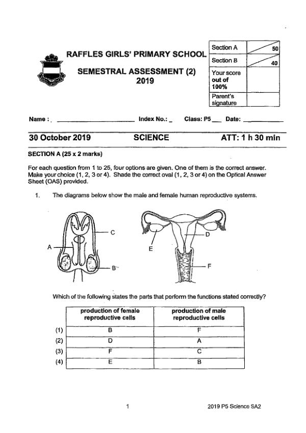 Raffles Girls P5 Sci SA2 2019 exam paper PDF preview
