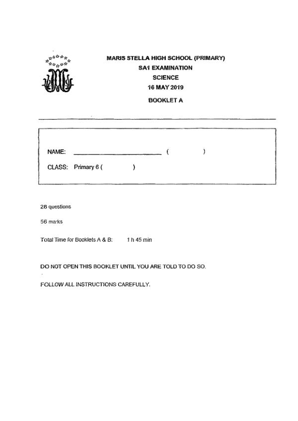 Maris Stella High P6 Sci WA2 2019 exam paper PDF first page preview