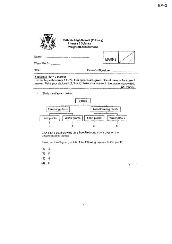 First page preview of P3 Sci 2024 WA1 — Catholic High