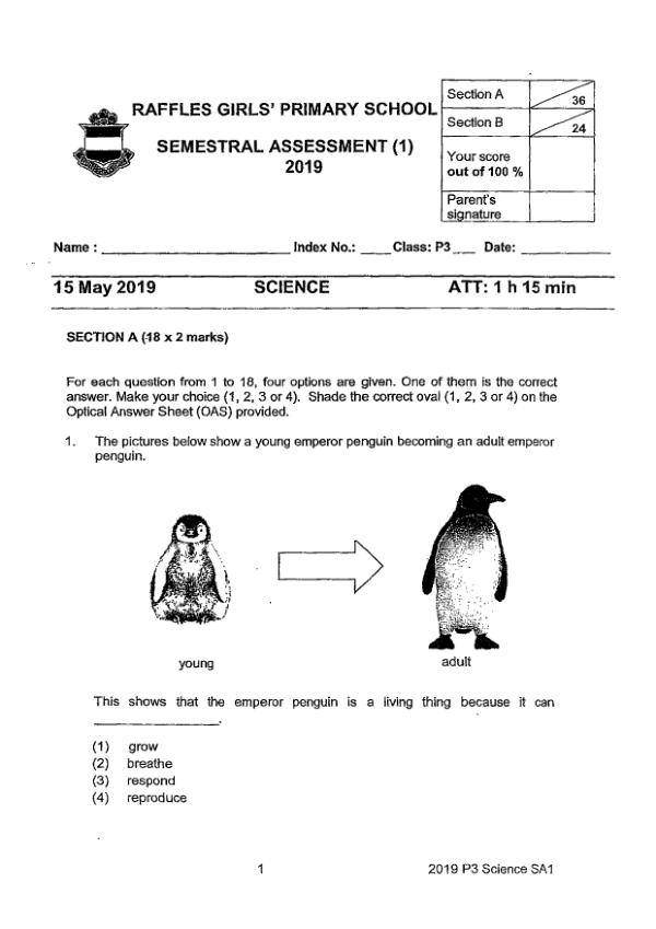 Raffles Girls P3 Sci WA2 2019 exam paper PDF first page preview