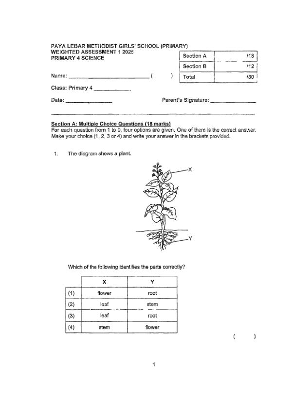 First page preview of P4 Sci 2025 WA1 — Methodist Girls