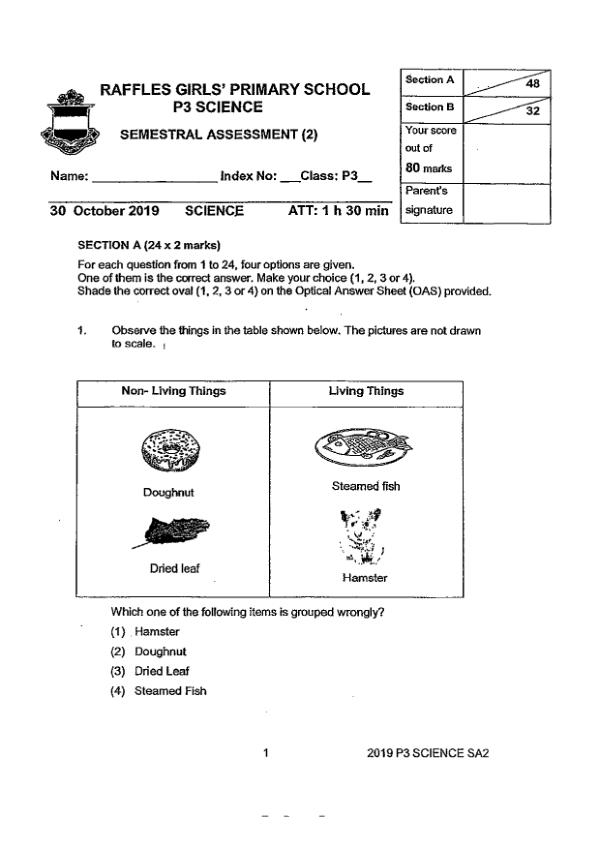 Raffles Girls P3 Sci SA2 2019 exam paper PDF preview