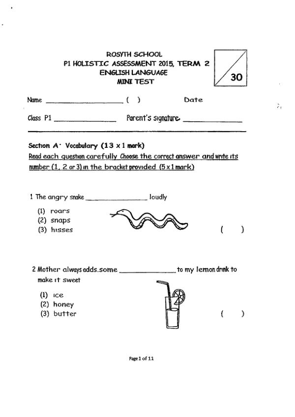 Rosyth P1 Eng WA2 2015 exam paper PDF first page preview