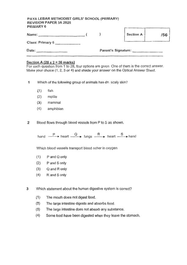 Methodist Girls P6 Sci WA2 2025 exam paper PDF first page preview