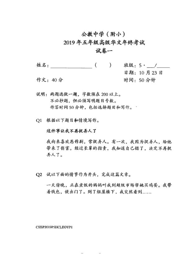 Catholic High P5 Chi SA2 2019 exam paper PDF first page preview