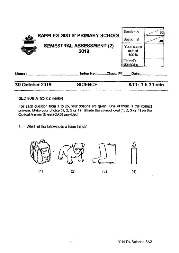 Raffles Girls P4 Sci SA2 2019 exam paper PDF preview
