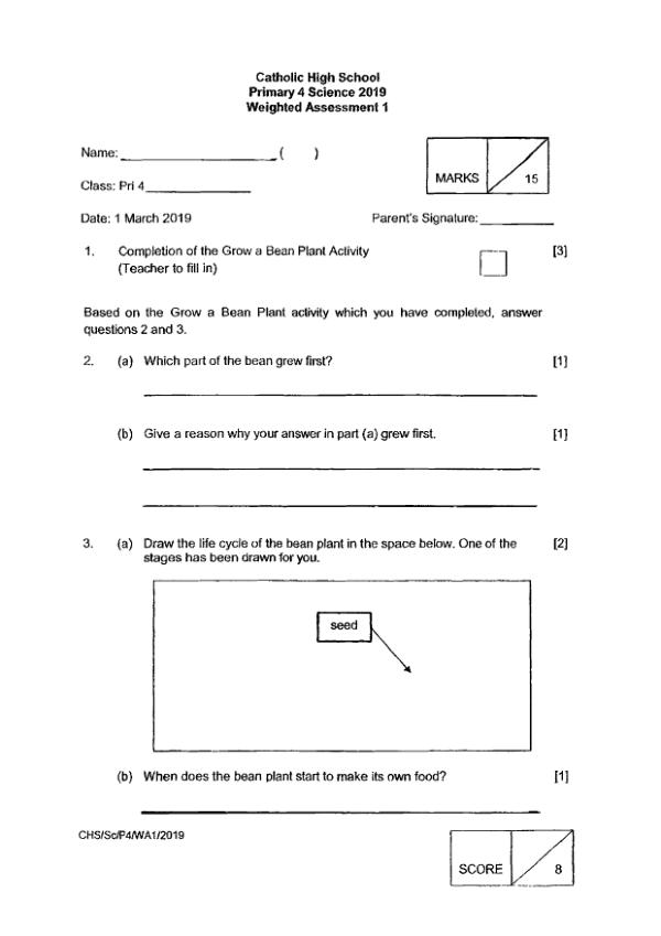Catholic High P4 Sci WA1 2019 exam paper PDF preview
