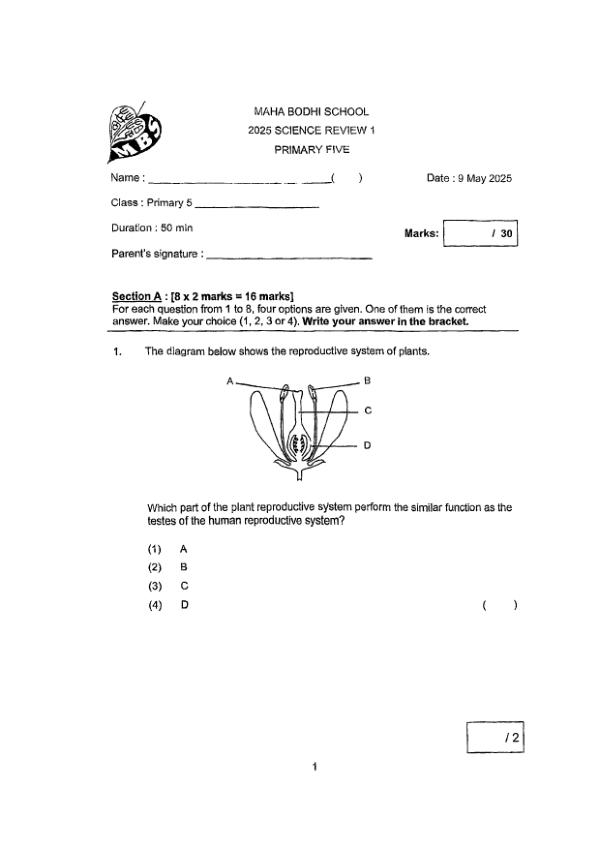 First page preview of P5 Sci 2025 WA1 — Maha Bodhi