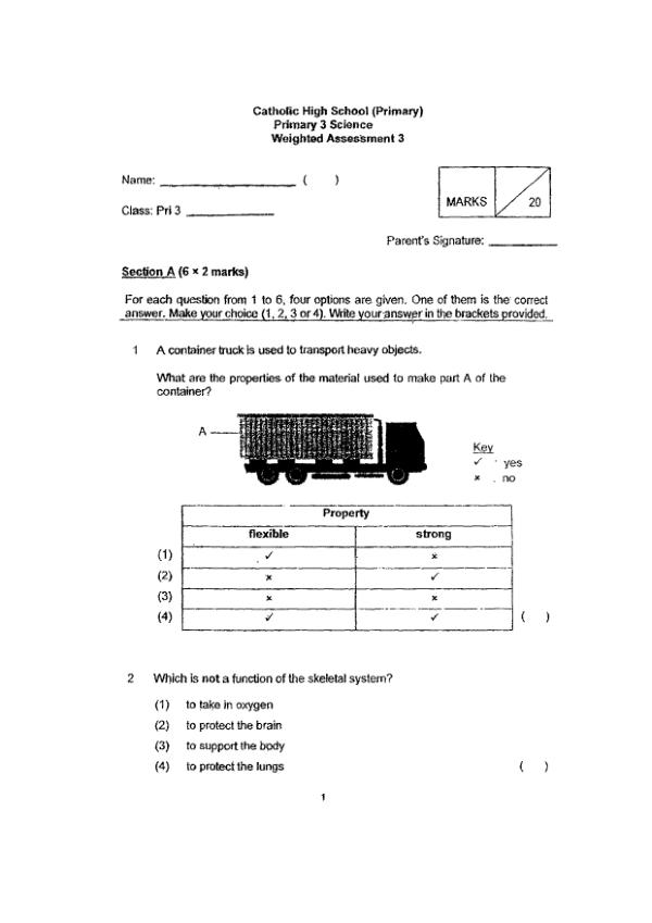 First page preview of P3 Sci 2024 WA3 — Catholic High