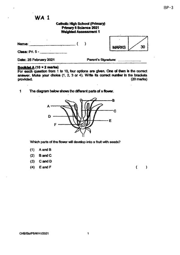 Catholic High P5 Sci WA1 2021 exam paper PDF first page preview